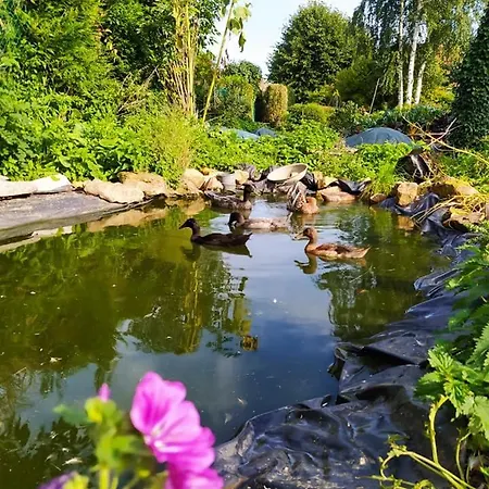 Tente Mongole 4 Saisons Cosy Et Spacieux Luxuszelt