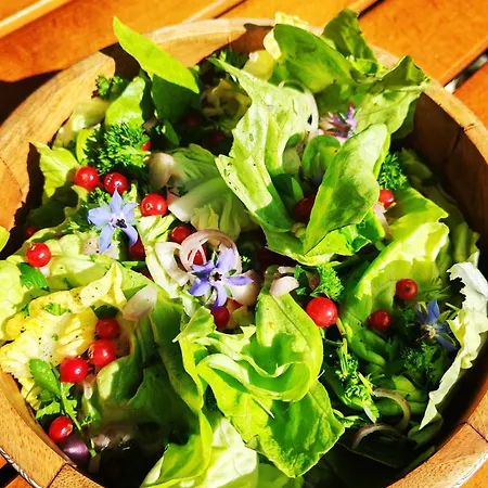 Luxuszelt Tente Mongole 4 Saisons Cosy Et Spacieux